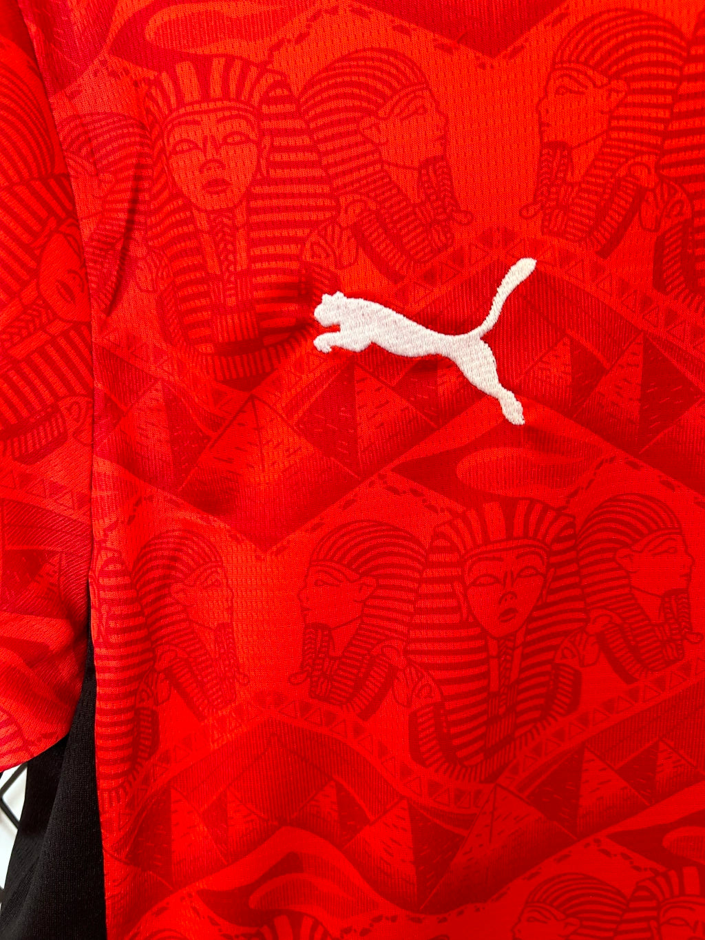 Egypt 2026 Home Shirt