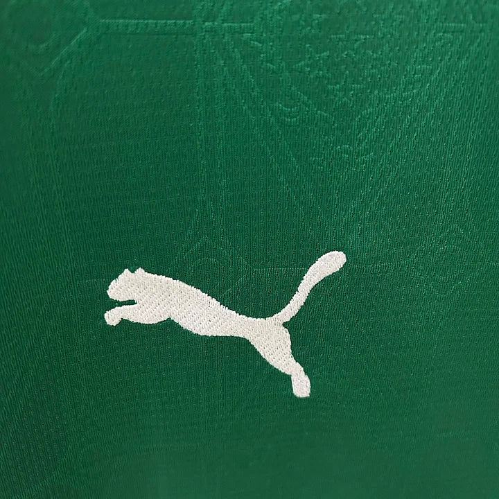 Palmeiras 2025/26 Away Shirt